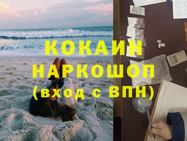 шишки Осташков