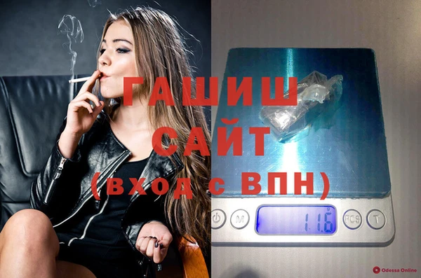 шишки Осташков