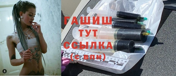 шишки Осташков