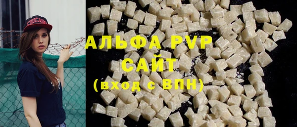 шишки Осташков