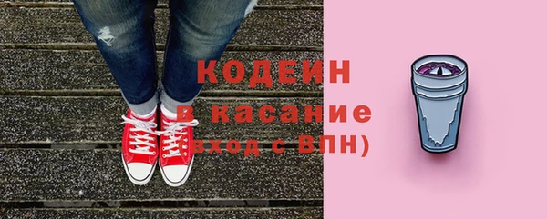 шишки Осташков