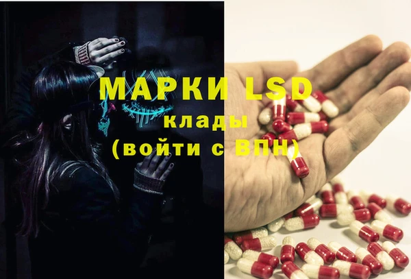 шишки Осташков
