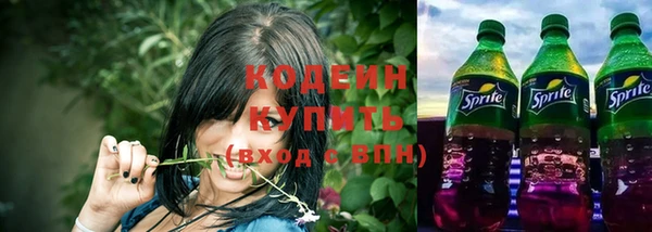 шишки Осташков