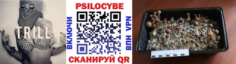 Псилоцибиновые грибы ЛСД  купить наркоту  Полысаево 
