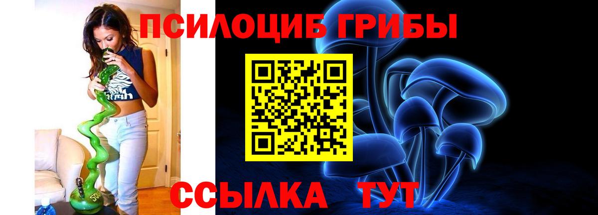 Полысаево  Псилоцибиновые грибы GOLDEN TEACHER  Вход с VPN 